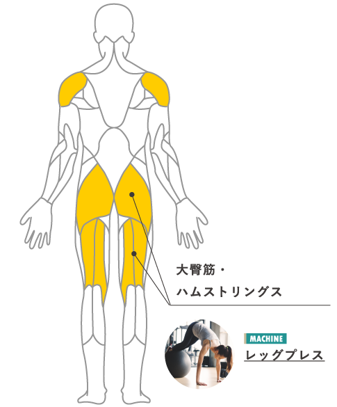 ダイエットのために鍛えたい筋肉