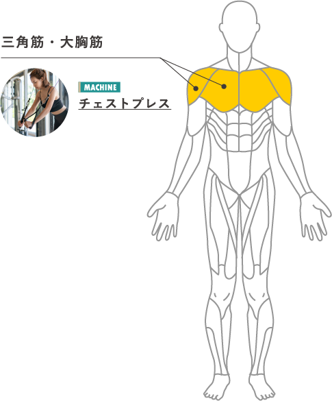 ダイエットのために鍛えたい筋肉