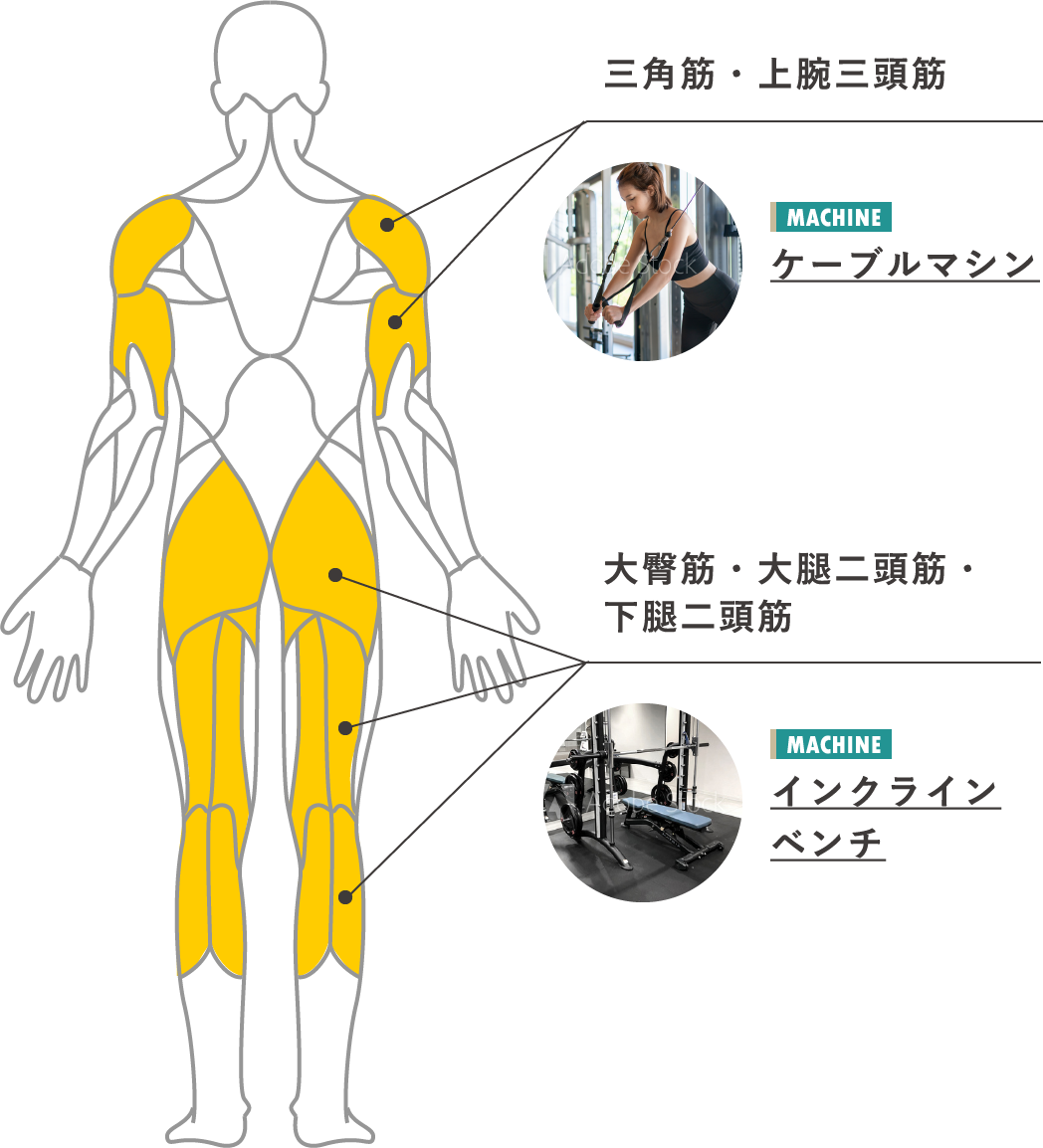 デスクワークのために鍛えたい筋肉
