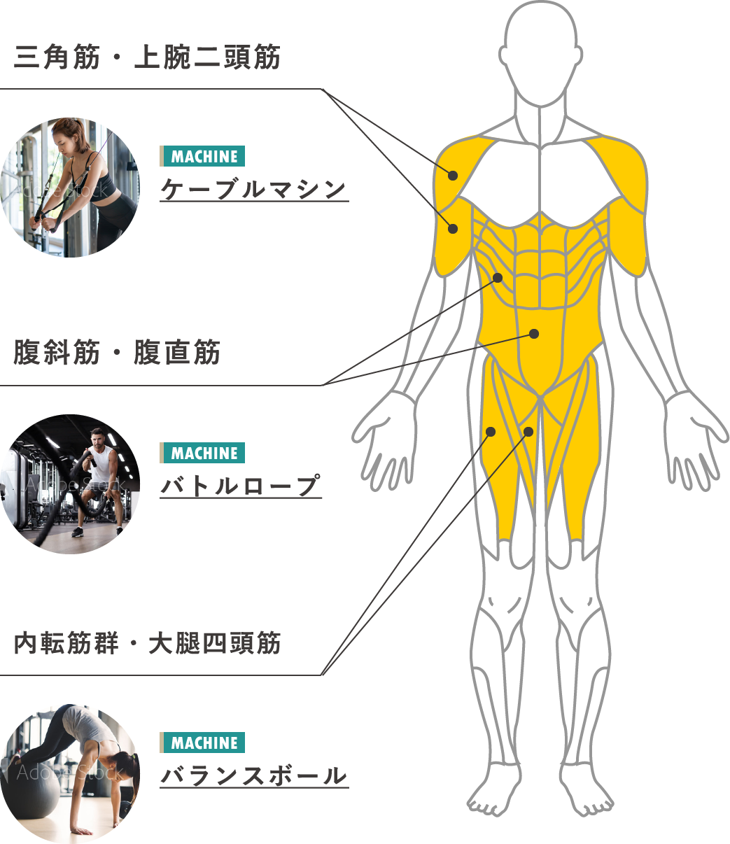 デスクワークのために鍛えたい筋肉